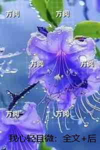 撒娇攻文吧