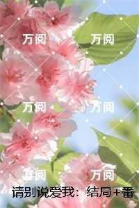 重生七零医务小军嫂