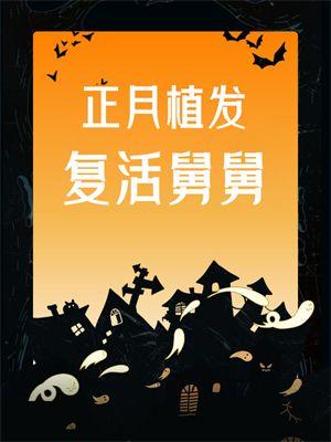 继室沈月尘