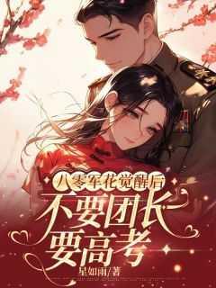 谍海王牌 岩隐士